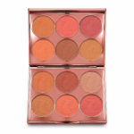 Blush palette
